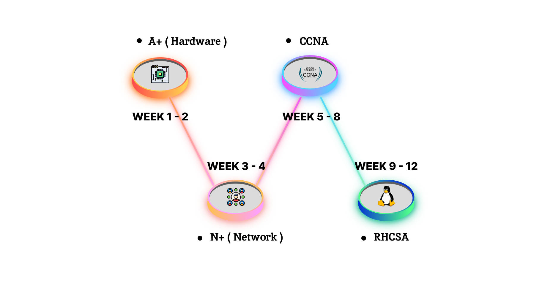 Networking Training